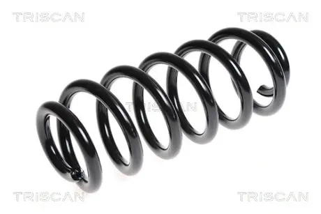 Пружина ходовой части TRISCAN 875029226