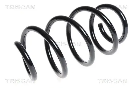 Пружина ходовой части TRISCAN 875029230