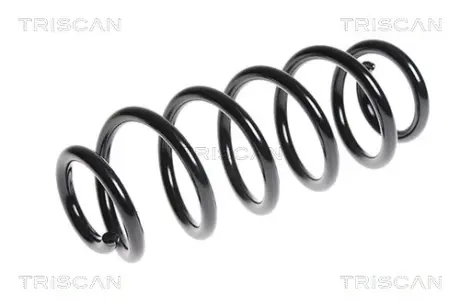 Пружина ходовой части TRISCAN 875029234