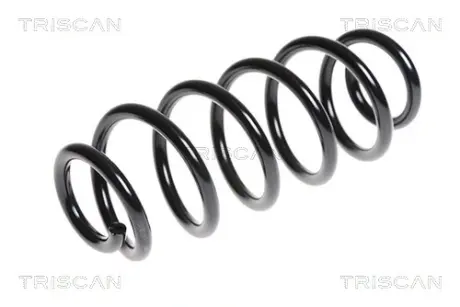 Пружина ходовой части TRISCAN 875029235