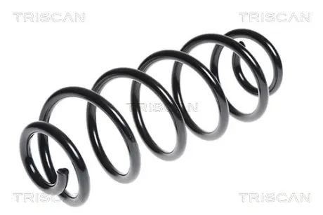 Пружина ходовой части TRISCAN 875029239