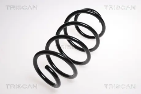 Пружина ходовой части TRISCAN 875029243