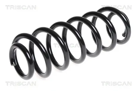 Пружина ходовой части TRISCAN 875029244