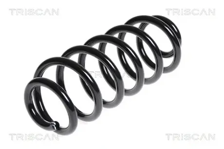 Пружина ходовой части TRISCAN 875029246