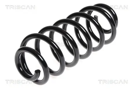 Пружина ходовой части TRISCAN 875029248