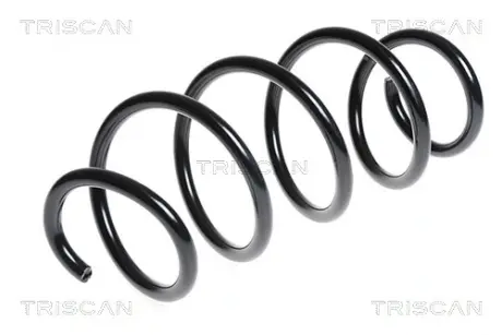 Пружина ходовой части TRISCAN 875029255