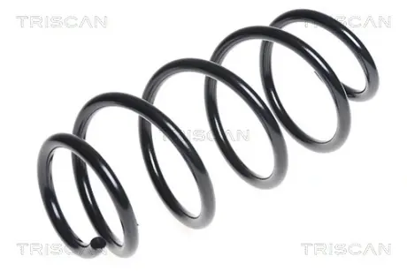 Пружина ходовой части TRISCAN 875029263
