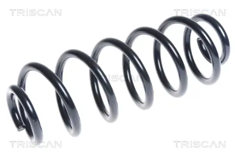 Пружина ходовой части TRISCAN 875029265