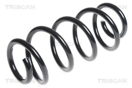 Пружина ходовой части TRISCAN 875029268