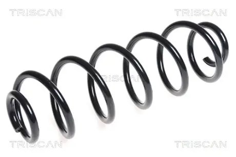 Пружина ходовой части TRISCAN 875029272