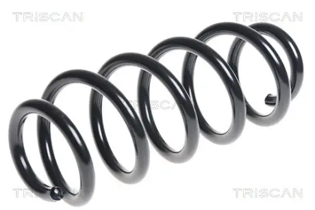 Пружина ходовой части TRISCAN 875029276