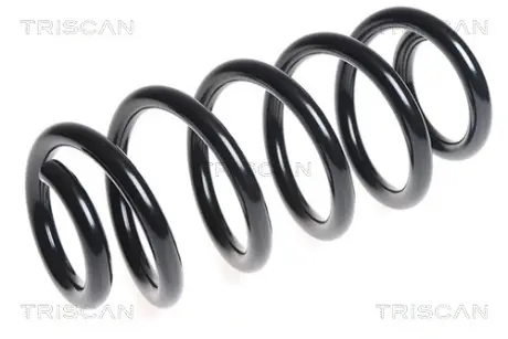Пружина ходовой части TRISCAN 875029277