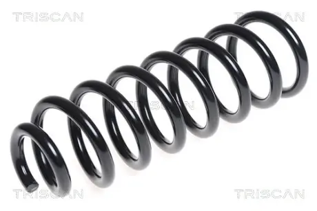 Пружина ходовой части TRISCAN 875029279