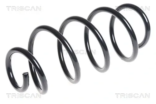 Пружина ходовой части TRISCAN 875029291 (фото 1)