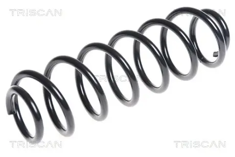 Пружина ходовой части TRISCAN 875029301
