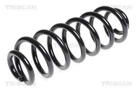 Пружина ходовой части TRISCAN 875029303