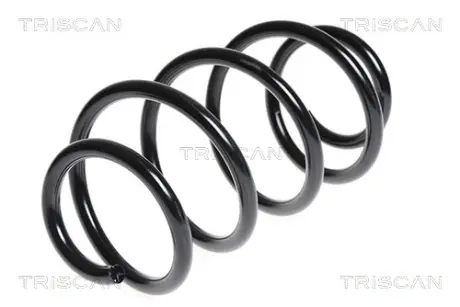 Пружина ходовой части TRISCAN 875029307