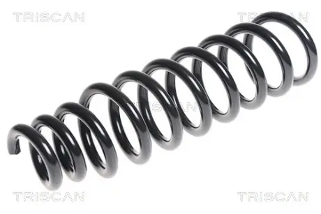 Пружина ходовой части TRISCAN 875029308