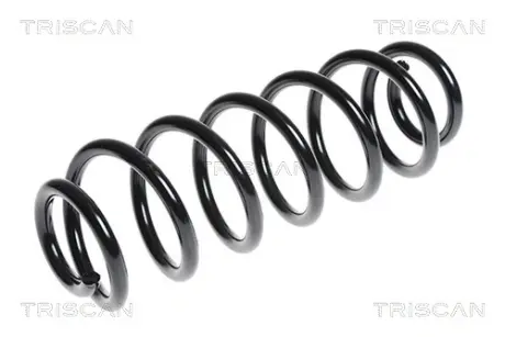 Пружина ходовой части TRISCAN 875029311