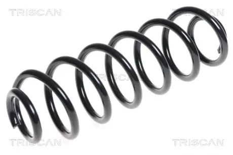 Пружина ходовой части TRISCAN 875029313