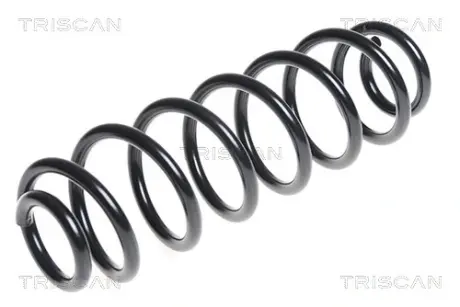 Пружина ходовой части TRISCAN 875029315