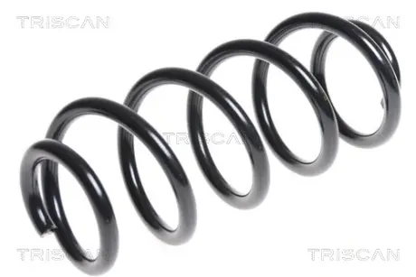 Пружина ходовой части TRISCAN 875029321