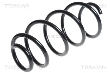 Пружина ходовой части TRISCAN 875029325