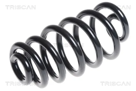 Пружина ходовой части TRISCAN 875029326