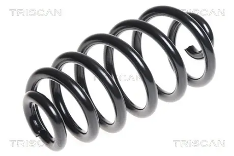 Пружина ходовой части TRISCAN 875029327