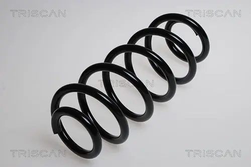 Пружина ходовой части TRISCAN 875029376 (фото 1)
