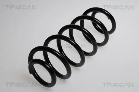 Пружина ходовой части TRISCAN 875029376