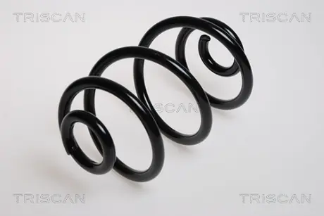 Пружина ходовой части TRISCAN 875029377