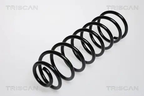 Пружина ходовой части TRISCAN 87502946