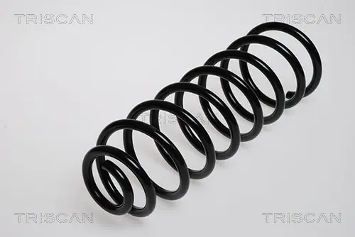 Пружина ходовой части TRISCAN 87502947 (фото 1)