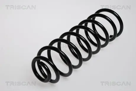 Пружина ходовой части TRISCAN 87502947