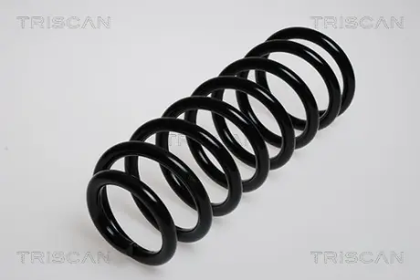 Пружина ходовой части TRISCAN 87502979
