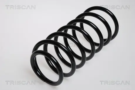 Пружина ходовой части TRISCAN 87502988