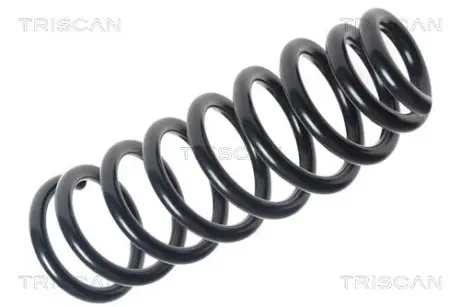 Пружина ходовой части TRISCAN 875040101