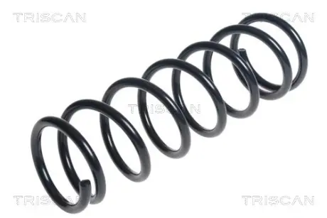 Пружина ходовой части TRISCAN 875040102
