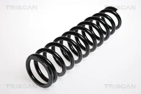 Пружина ходовой части TRISCAN 87504026