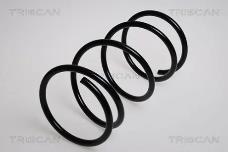 Пружина ходовой части TRISCAN 87504042