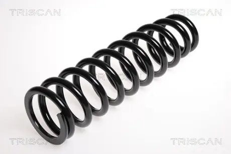 Пружина ходовой части TRISCAN 87504046