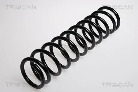 Пружина ходовой части TRISCAN 87504047