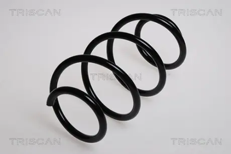 Пружина ходовой части TRISCAN 87504051