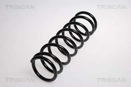 Пружина ходовой части TRISCAN 87504068