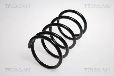 Пружина ходовой части TRISCAN 87504070