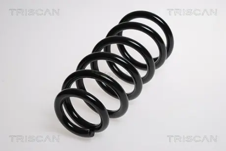 Пружина ходовой части TRISCAN 87504072