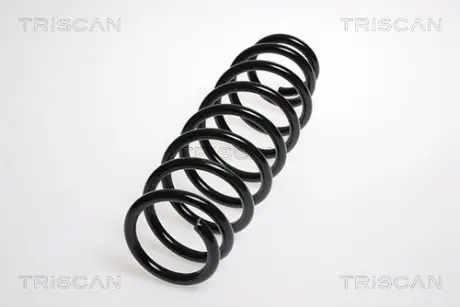 Пружина ходовой части TRISCAN 87504074