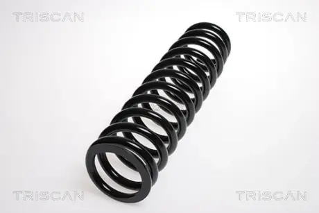 Пружина ходовой части TRISCAN 87504076