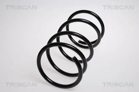 Пружина ходовой части TRISCAN 87504078